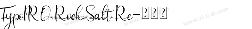 TypoPRO Rock Salt Re字体转换